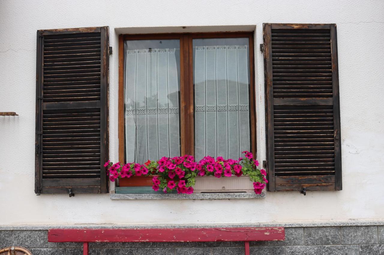Gabry Guest House Bruno Εξωτερικό φωτογραφία