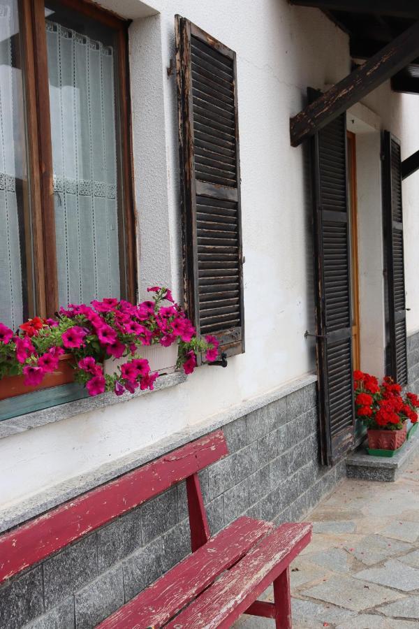 Gabry Guest House Bruno Εξωτερικό φωτογραφία
