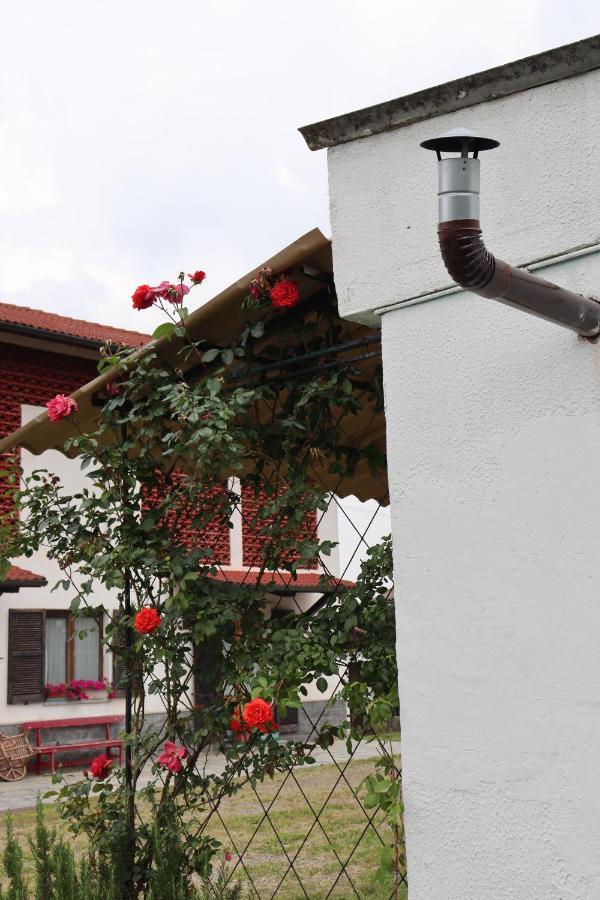 Gabry Guest House Bruno Εξωτερικό φωτογραφία